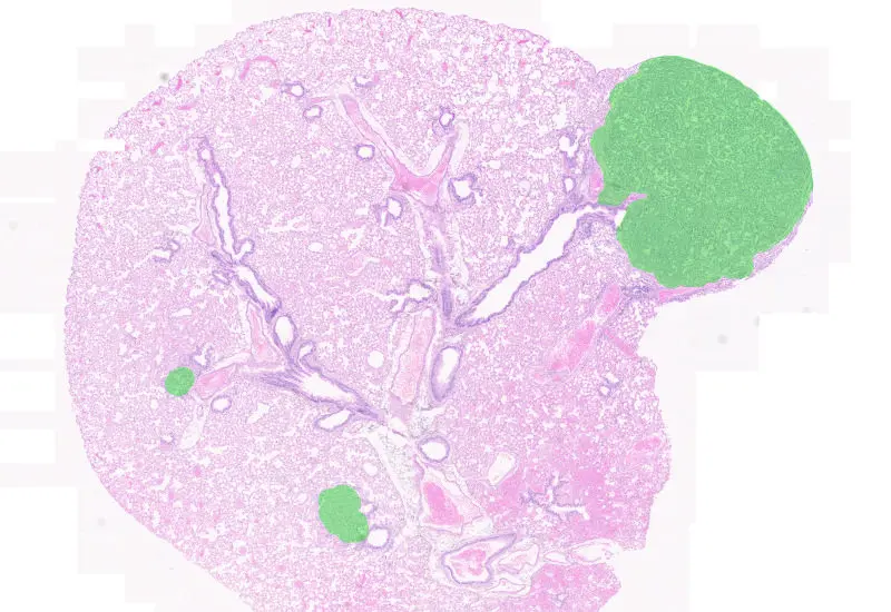 Dynamic Content Image